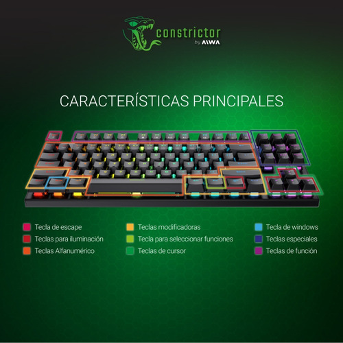 Imagen 6 de 10 de Teclado Gamer Mecanizado Constrictor Qwerty Metal