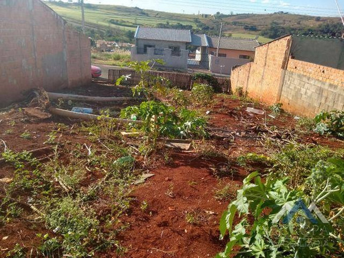 Imagem 3 de 4 de Terreno À Venda, 200 M² Por R$ 75.000,00 - Jardim Nova Esperança - Londrina/pr - Te0386