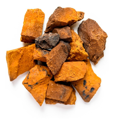Hongo Adaptógeno Chaga Orgánico 120g Commons