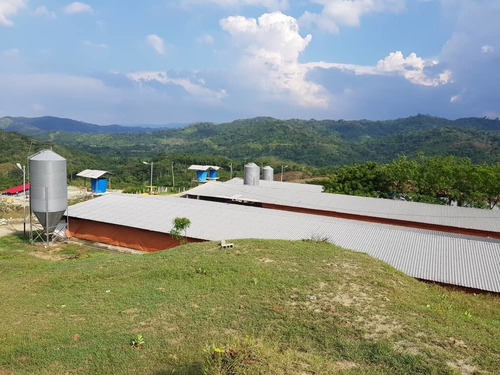 Finca Multipropósito Porcino, Bovino Y  Avicola En Yaracuy 