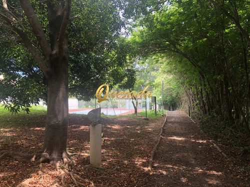 Imagem 21 de 30 de Terreno - Te00307 - 69917877