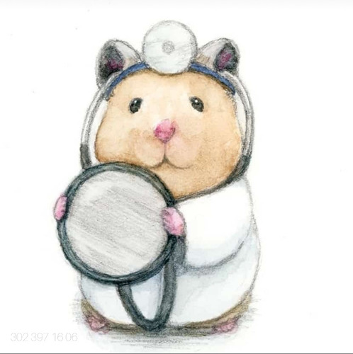 Hamster Sirios