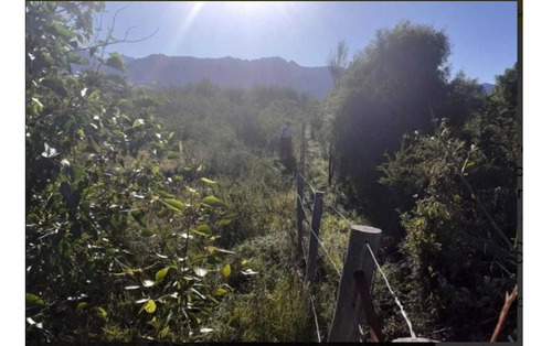 Imagen 5 de 8 de Terreno - Lote En Bariloche Zona Entre Cerros 1000 Mts2 Cerca Lago Gutierrez