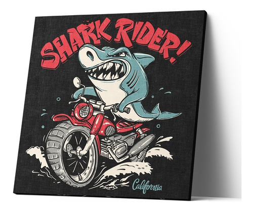 Cuadro Canvas Shark Rider Motociclista 20x20cm  