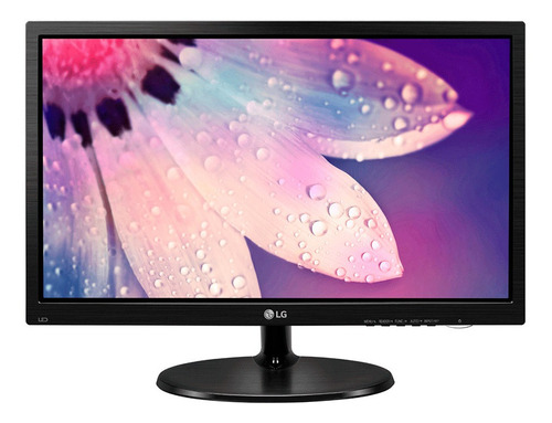 Monitor LG 19 Pulgadas Vga Pc Vesa Garantia Hd Ips 