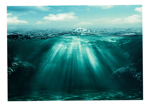 Cartel De Paisaje De Acuario 76x46cm