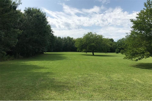 Imagen 15 de 24 de Lotes En Venta Barrio Perimetrado Villa Elisa