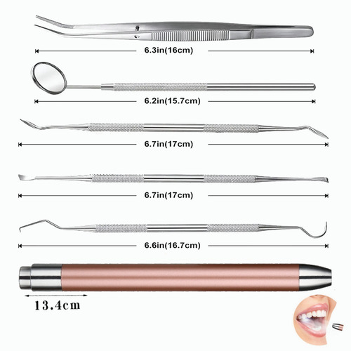 Imagen 4 de 8 de Set De 7 Herramientas De Limpieza Dientes Acero Inoxidable