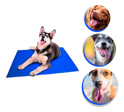 Imagem 1 de 7 de Colchonete Pet Tapete Gelado 65cmx50cm Caminha De Cachorros