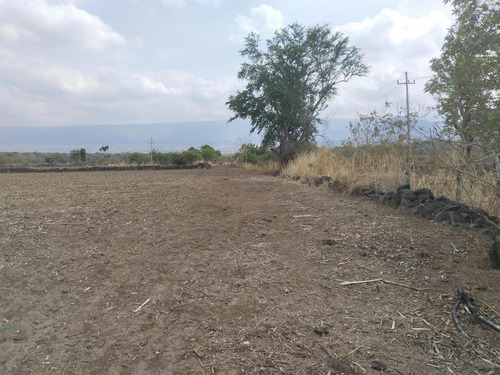 Vendo Terreno Ideal Para Siembra, Invernadero, Rancho Etcétera!
