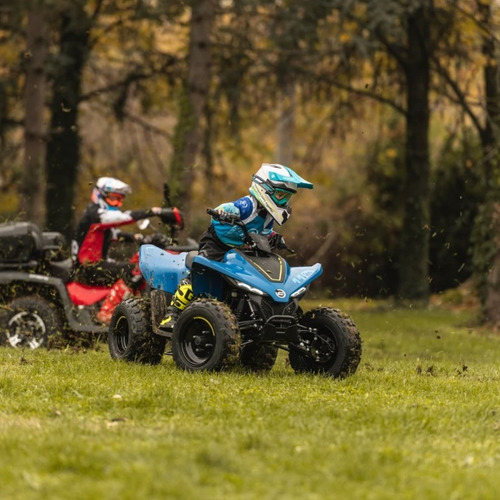 Cuatriciclo Cfmoto Cforce 110 Niños 0km Palermo Bikes