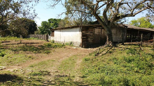 Vendo Rancho Ganadero 223 Hectáreas Temapache Veracruz