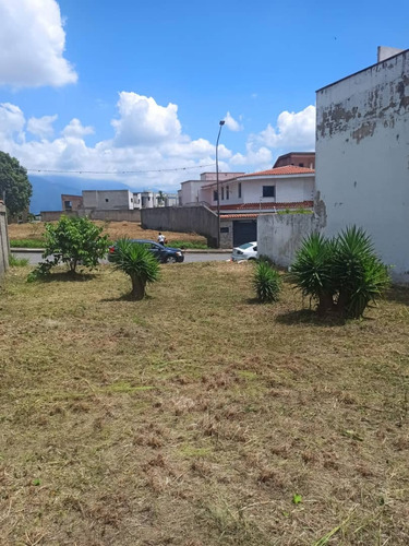 Excelente Terreno Ubicado Al Norte De Colinas De Vista Alegre