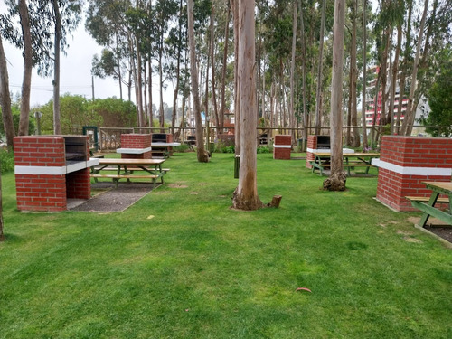 Departamento Amoblado En Algarrobo