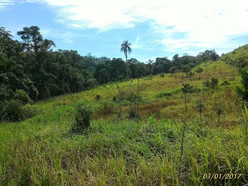 Imagem 6 de 12 de Vende Área Industrial Rodovia Presidente Dutra-sp 179.000m2