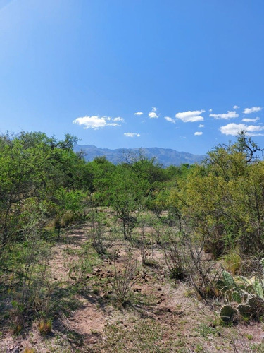 Imagen 5 de 10 de Venta De Terrenos En Las Chacras Villa De Las Rosas Traslasierra Cordoba