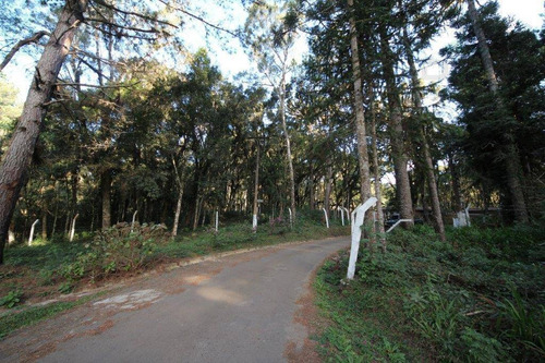 Imagem 8 de 12 de Chácara À Venda, 3300 M² Por R$ 750.000 - Campininha - Quatro Barras/pr - Ch0019
