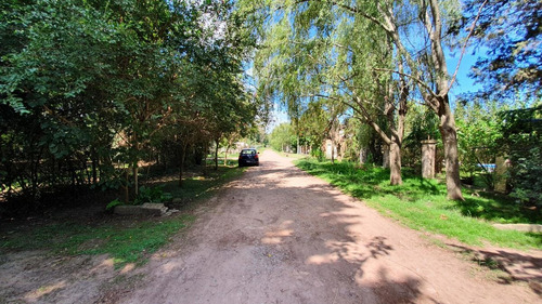 Imagen 20 de 30 de Casa Quinta 6 Amb Quincho Parrilla Pileta 5 Lotes Arbolados En Alejandro Petion Cañuelas