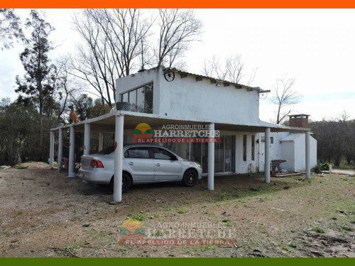 Imagen 5 de 22 de Chacra En Venta 3 Has Con Casa En El Colorado