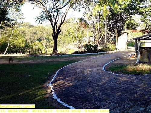 Imagem 4 de 14 de Sítios À Venda Em Amparo/sp - Compre O Seu Sítios Aqui! - 1212995