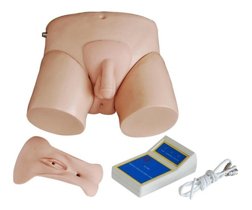 Imagen 1 de 4 de Pelvis Para Practicas De Cateterizacion Masculina/ Femenina.