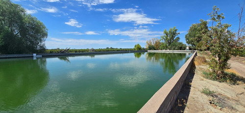 Venta Finca El Carrizal
