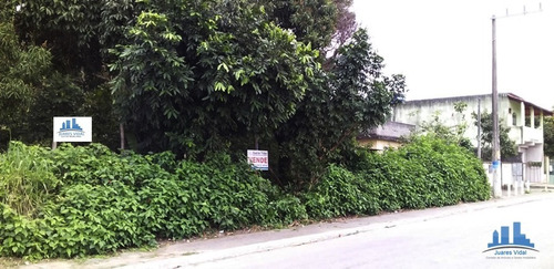 Imagem 3 de 9 de Terreno Plano Com Escritura Na Estrada De Mazomba Em Itaguaí/rj - 313 - 34596787