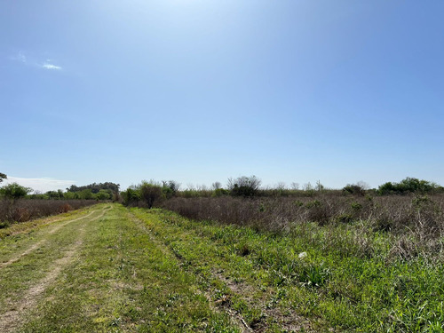 Terreno En Recreo Sur