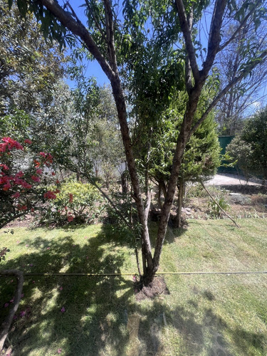 Vendo El Mejor Terreno De Bosques De Viena