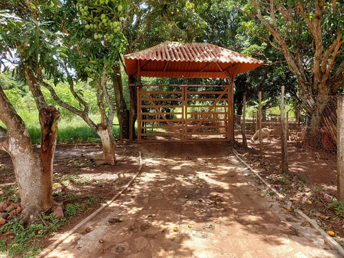Imagem 1 de 14 de Chácara A Venda Ou Para Eventos