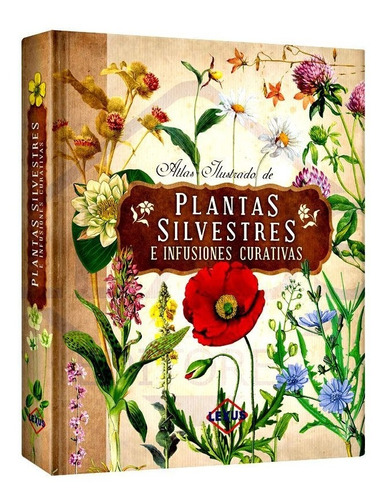 Libro Atlas Ilustrado Plantas Silvestres Infusiones
