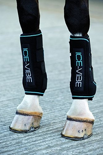 Botas De Equitacion Icevibe