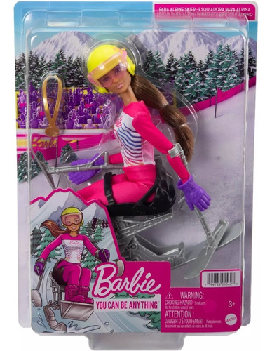 Imagem 1 de 7 de  Barbie Winter Articulada Paraolimpica Alpine Alpinista 2021