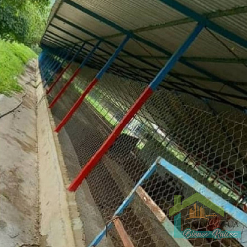 Granja Avícola En Venta/ San Francisco De Asís/ Yp1390