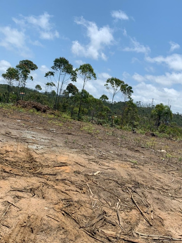 Imagem 9 de 12 de J09-venda De Lotes Em Mogi Das Cruzes R$60.000