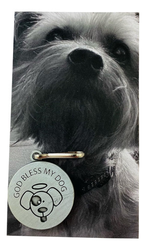 Collar Con Medalla De San Francisco Para Perros Con Tarjeta 