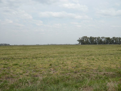 Imagen 5 de 17 de Campo En Cañuelas