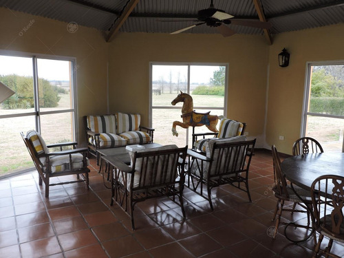 Imagen 13 de 24 de Campo En Venta 50 Has En Punta Indio - Excelente Casco - Ideal Haras