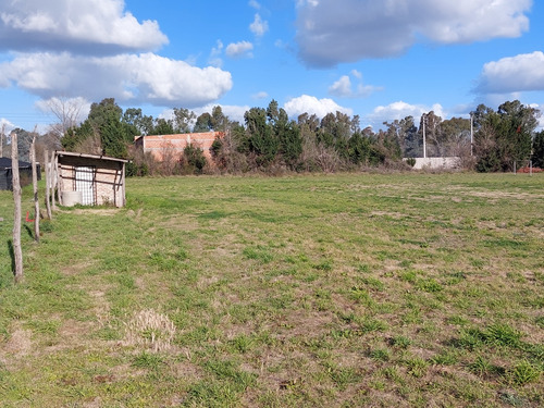 Vendo 3 Lotes D 41x83mts En Ruta 3 Km 36 Barrio Oro Verde