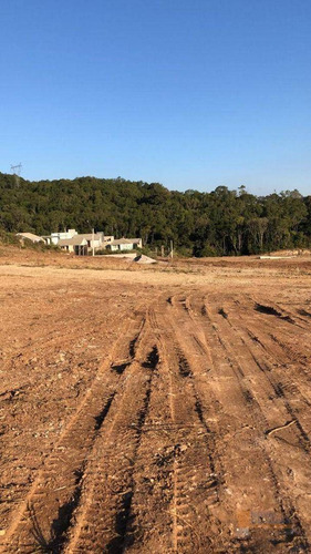 Imagem 10 de 28 de Terreno À Venda, 300 M² Por R$ 115.000,00 - São Giácomo - Caxias Do Sul/rs - Te0190