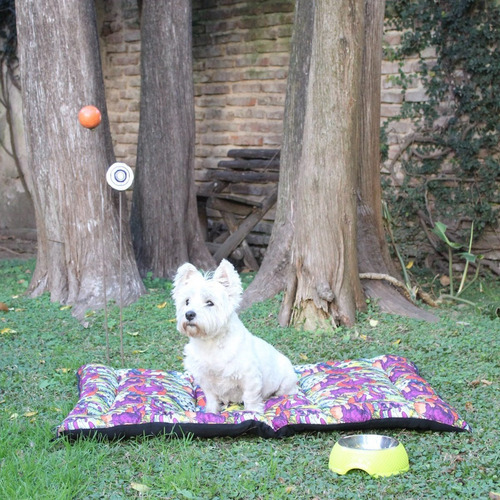 Bowl Para Perro