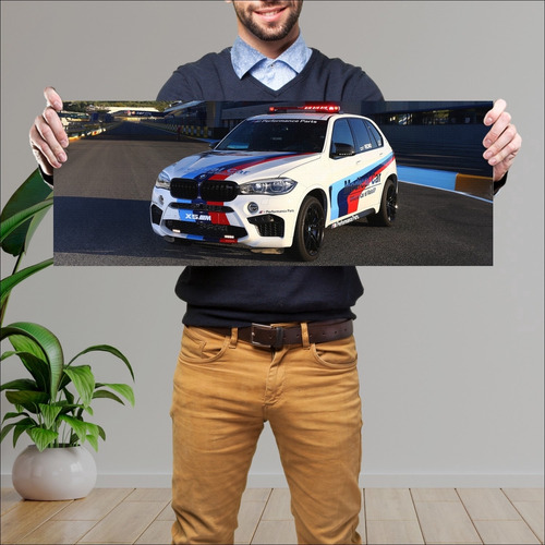 Cuadro 30x80cm Auto 2015 Bmw X5 M Motogp Medical 87