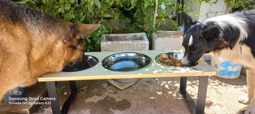 Imagen 4 de 7 de Comedero Perros En Altura Triple Grande