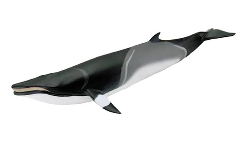 Figura Coleccionable Ballena Minke Safari