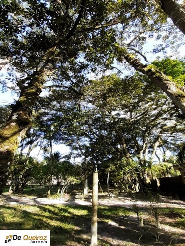 Imagem 3 de 30 de Chácara No Jd. Coronel, Parque Real, Composta De 03 Lotes Com 2.000 M² Cada, Murada, Metragem Total 6.000 M2, Casa Principal: Contruida No Lote 9, Área Construída 220,23m² 03 Dormi - 6143 - 68869065