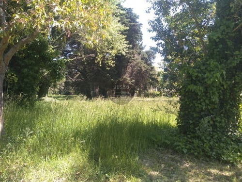 Imagen 10 de 15 de Lote Barrio Colinalegre Venta 625m2