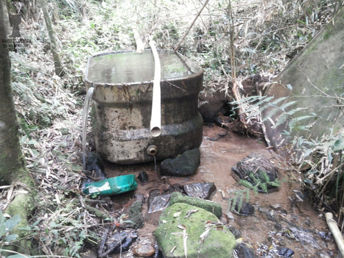 Chácara A Venda No Bairro Centro Em Bocaiúva Do Sul - Pr. - 369-1