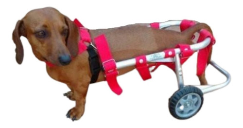 Cadeira De Rodas Para Cachorro/cão De 6 A 12kg