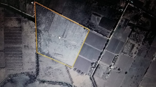 Vendo Finca Cuadro Benegas San Rafael Mendoza