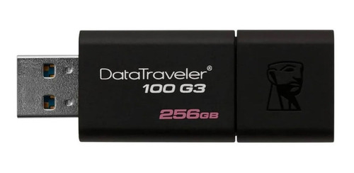 Pen Drive Kingston Data Traveler 100 256gb Usb Dimm
